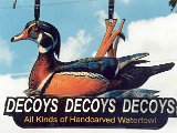 Decoys Decoys Decoys.jpg